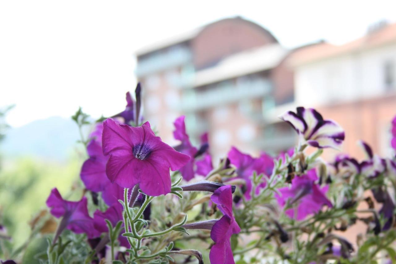 Bed and Breakfast A Casa Romar Turin Exterior foto
